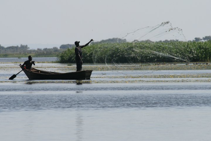 Vissende locals op het punt waar de Victoria nijl overgaat in lake Albert om verder te gaan als de Albert nijl