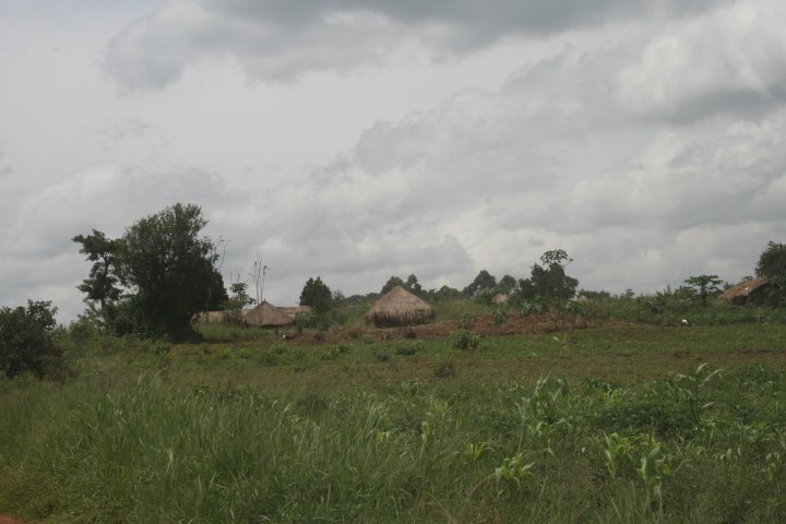Tradionele Oegandeese hutjes, banda's