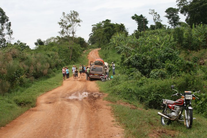Tussenstop voor een ananas, op de voorgrond de veel geziene brommertjes