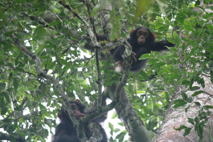 Zijn grote zus is er ook bij