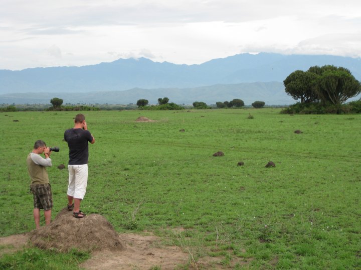 Leeuwen ver weg fotograferen. Geen leeuwen te zien maar wel een leuk plaatje