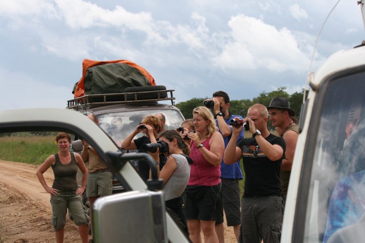 De groep aan het leeuwenspotten, die zijn ver weg.