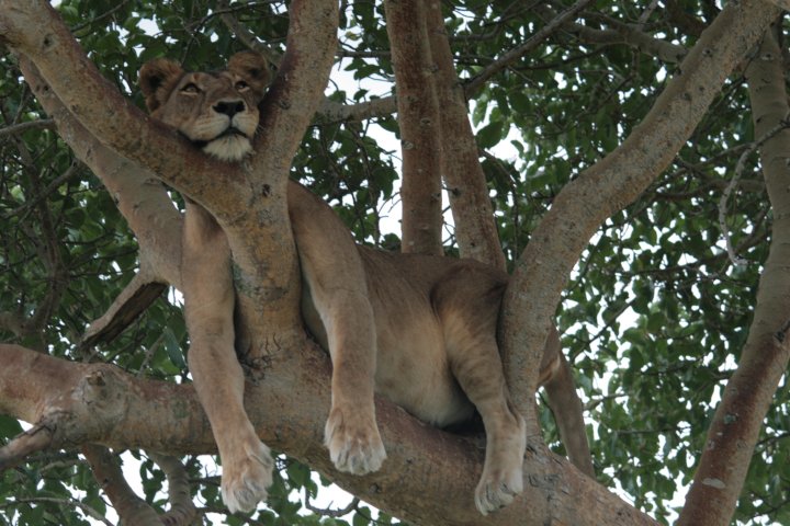 Luier hangen kan niet