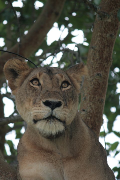 Toch iets interessants gezien?