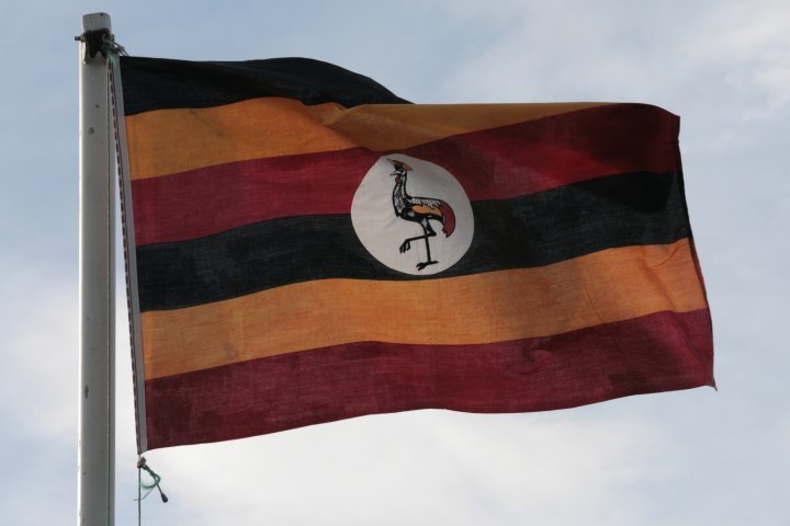 De vlag van Oeganda, met de kraanvogel als symbool