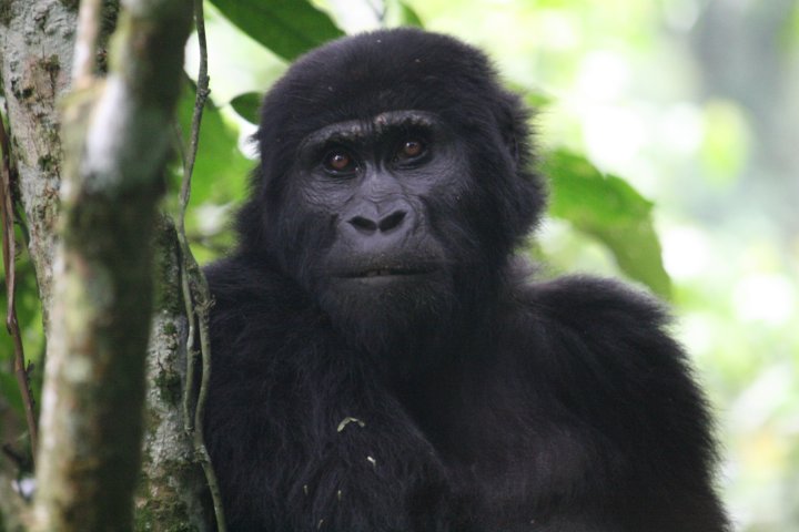 Die zien er interessant uit!