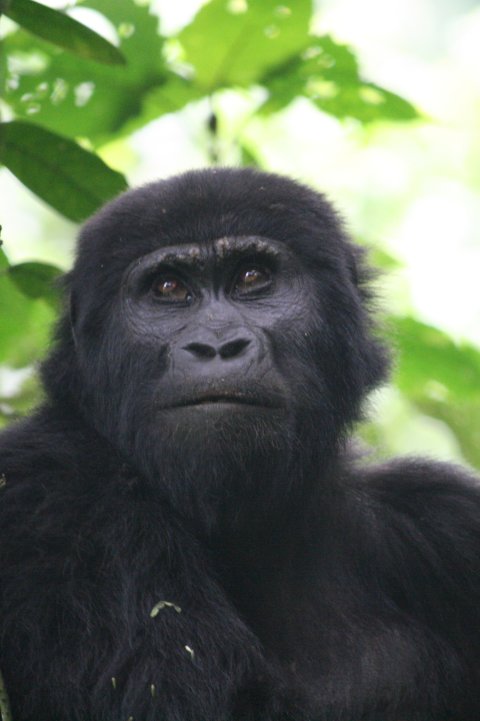 Ik lach nog eventjes voor de camera.