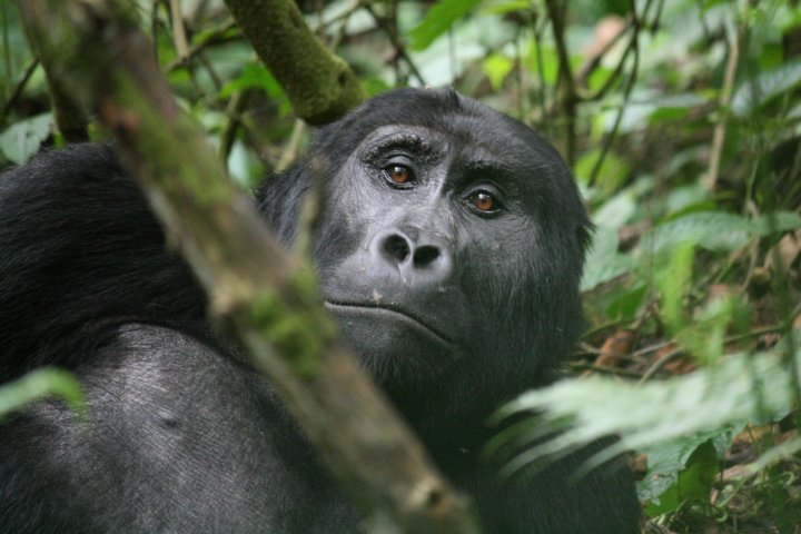 Eventje relaxen in het bos.