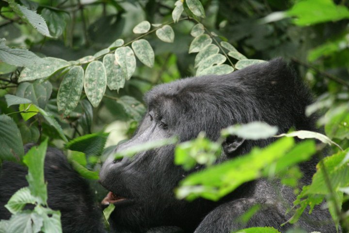Genieten van een blaadje