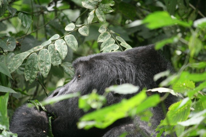 en een nieuw blaadje erbij