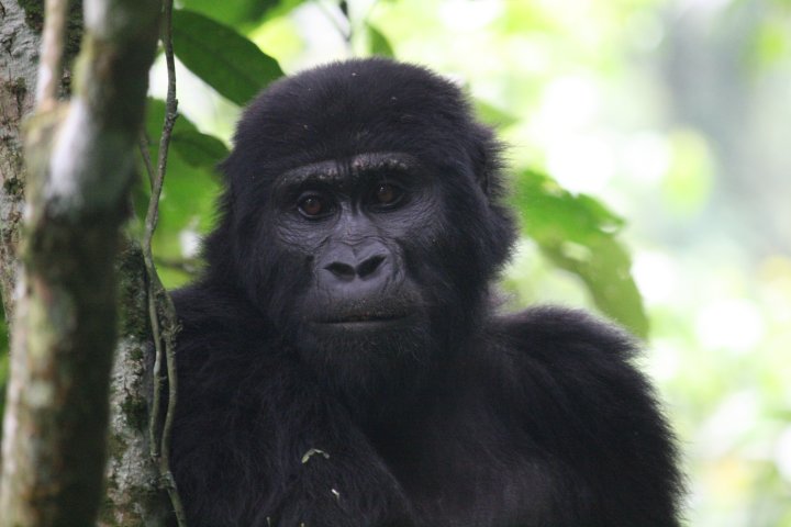 Hoeveel zijn het er vandaag die ons komen bezoeken?