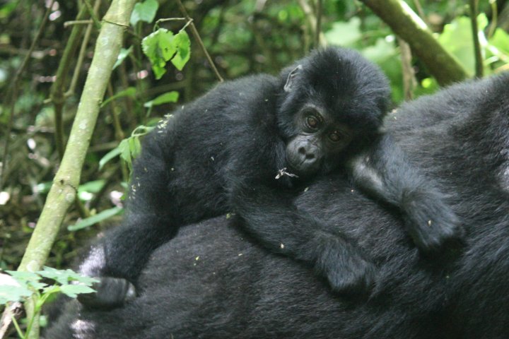 Mama goed vast houden als we verder gaan.