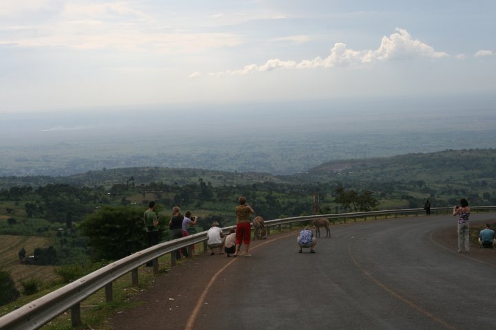Alles wordt gefotografeerd, zelfs ezels