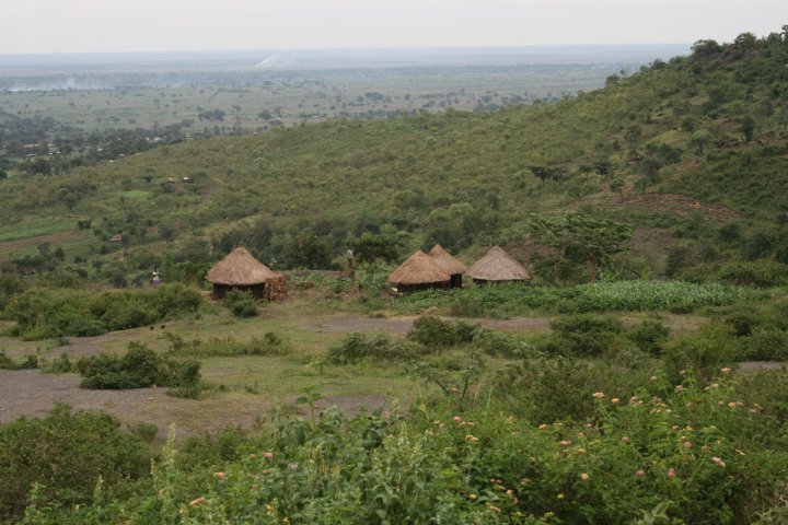 Klassieke Oegandeese hutjes, banda's