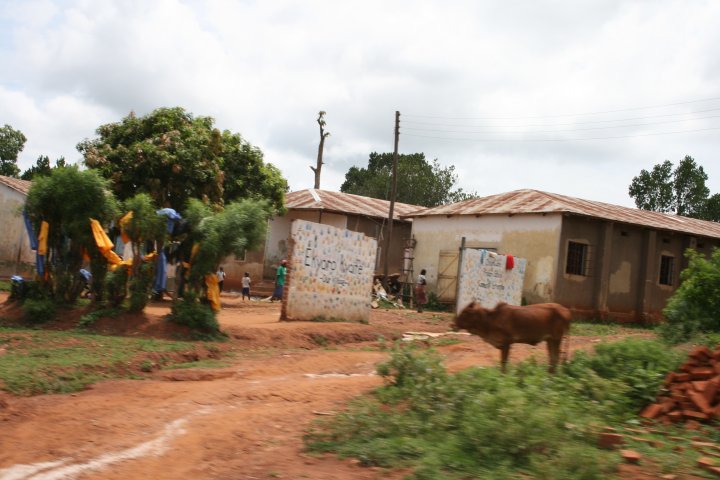 Wasdag en de kleren drogen in de boom